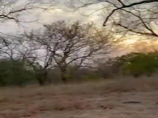 Panlabas malaswa video sa panahon ng safari anghel emily - mysexmobile