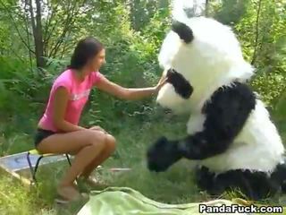 Xxx v the les takmer a obrovský hračka panda